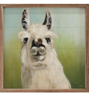 Whos Your Llama By Julia Purinton